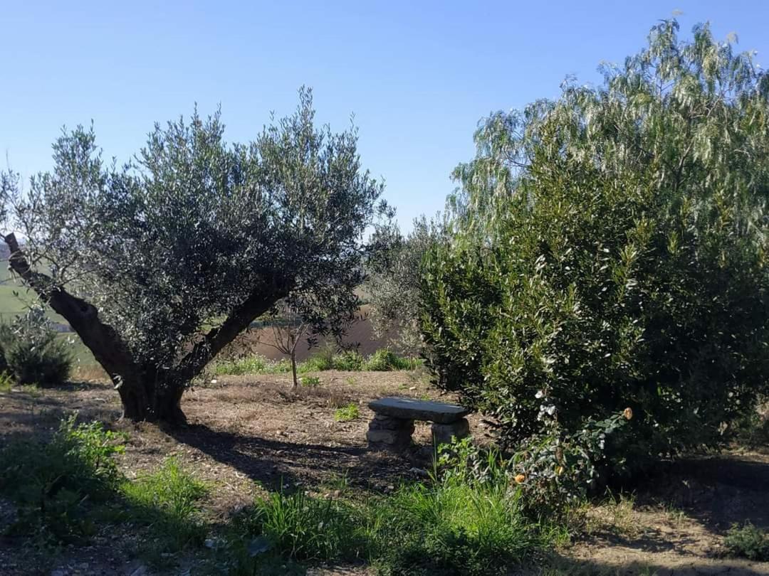 Masseria Baglio Perciata Camporeale Екстериор снимка